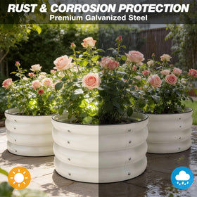 SHALL mini seeding transplanters enable easy root placement