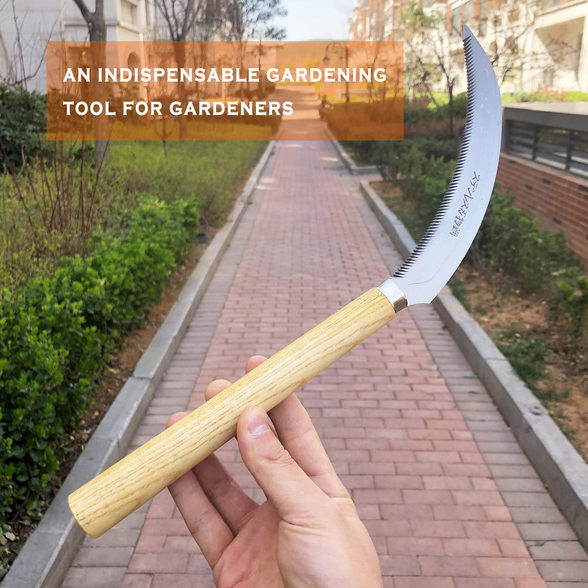 SHANFEEK Solid Wood Handle offers comfortable grip for extended use.