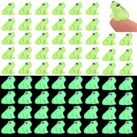 Shappy 70 resin mini frogs in box packaging for easy home and garden decorating.