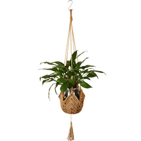 Shappy jute crochet plant hanger for 3-12 inch pots elevates greenery.
