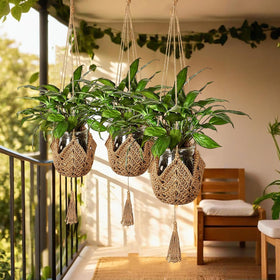 Perfect for outdoor patios or sunlit balconies, expanding your decor options.