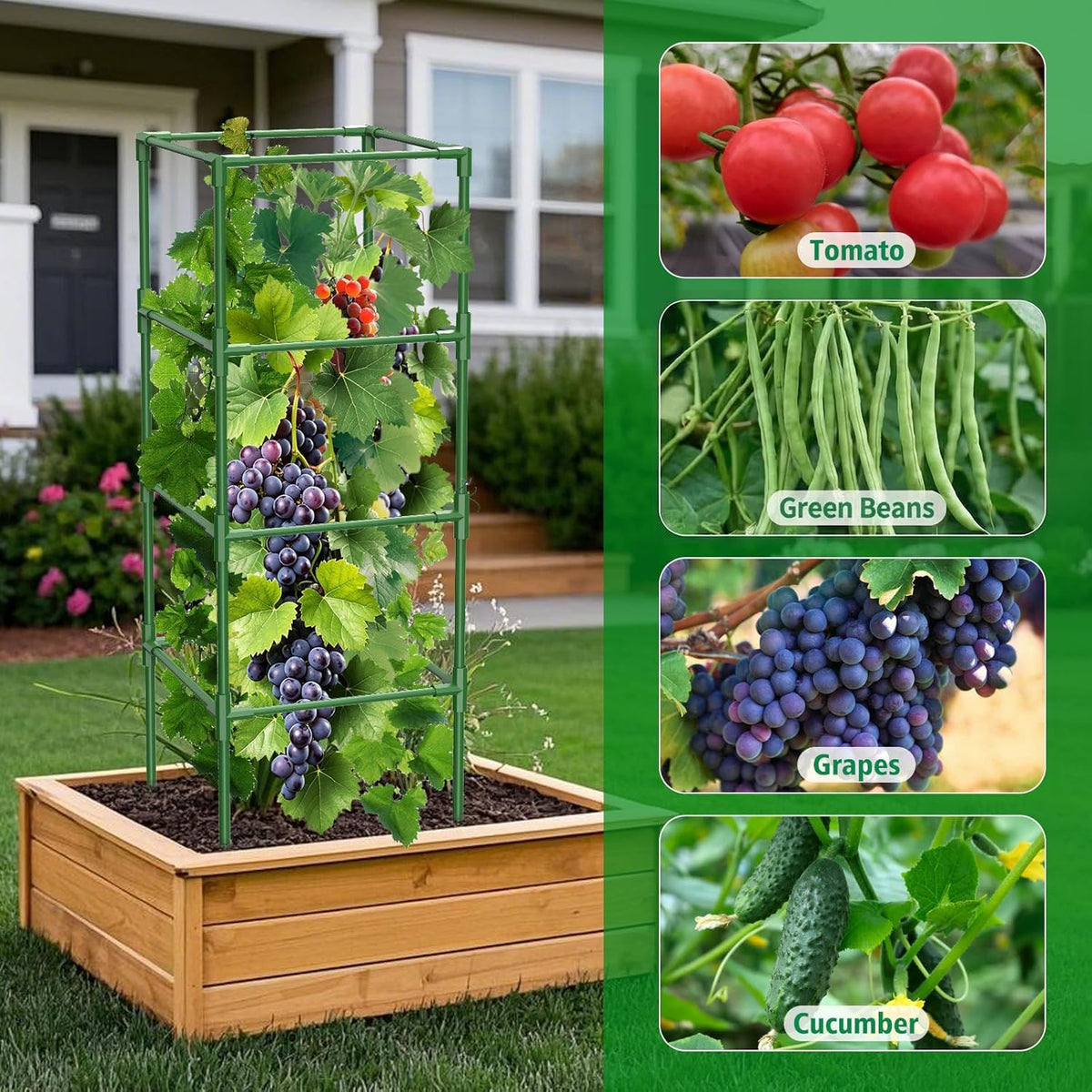SHCCPPJ 3-pack with clips supports multiple plants.