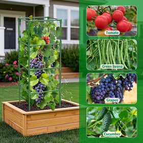 SHCCPPJ 3-pack with clips supports multiple plants.