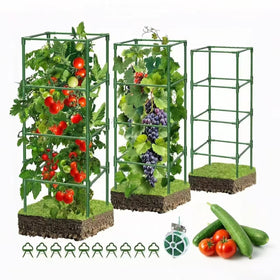 SHCCPPJ 42-inch square tomato cage top view for sturdy, upright vines.