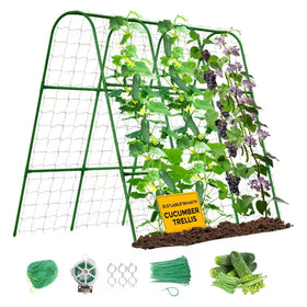 SHCCPPJ cucumber trellis with U-shaped design supports vertical growth for cleaner harvests