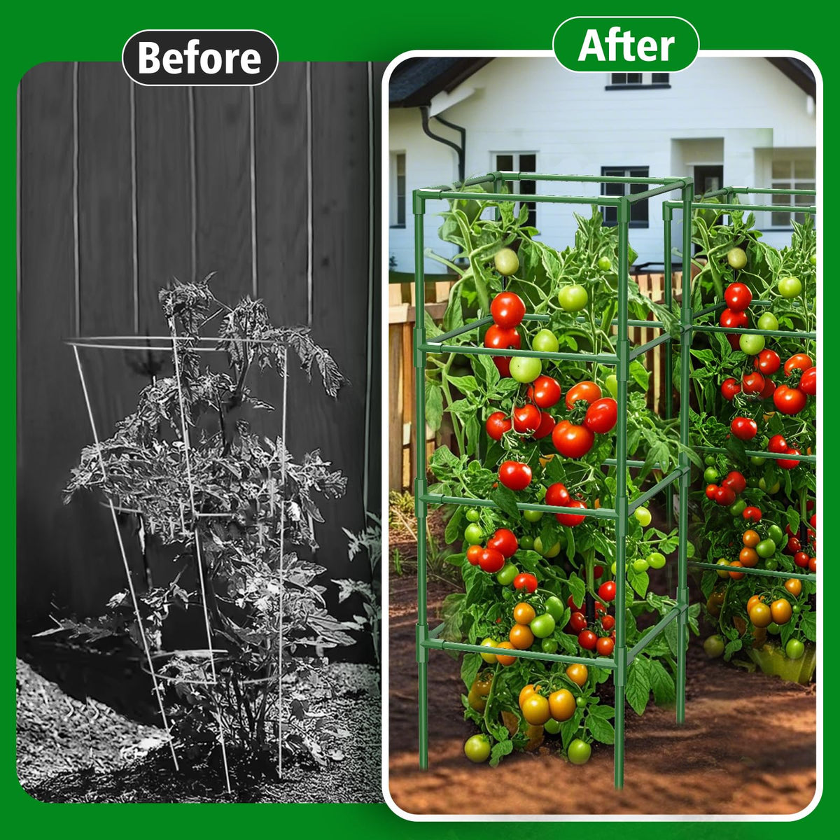 SHCCPPJ garden trellis in use boosts airflow and sun exposure for vines.