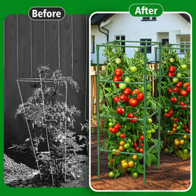 SHCCPPJ garden trellis in use boosts airflow and sun exposure for vines.