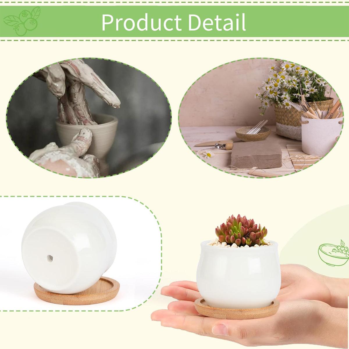 SHECIPIN-12-pack-display showing arrangement ideas for small succulents and gifts.