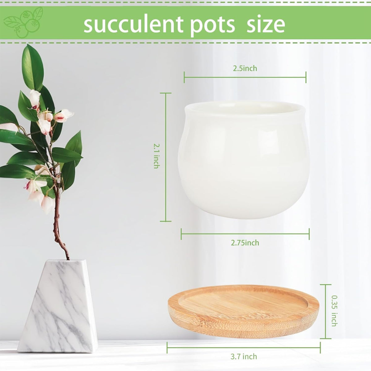 SHECIPIN bamboo-tray succulent pot highlighting spill-safe watering and tray protection.