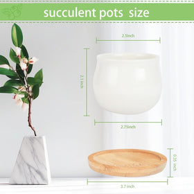 SHECIPIN bamboo-tray succulent pot highlighting spill-safe watering and tray protection.