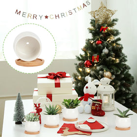SHECIPIN closeup-ceramic-texture pot emphasizing quality craft and smooth glaze.