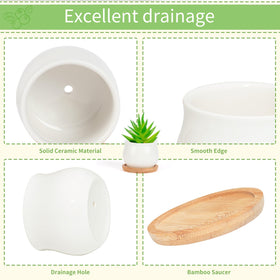 SHECIPIN drainage-hole-design pot promoting healthy root growth and drainage.