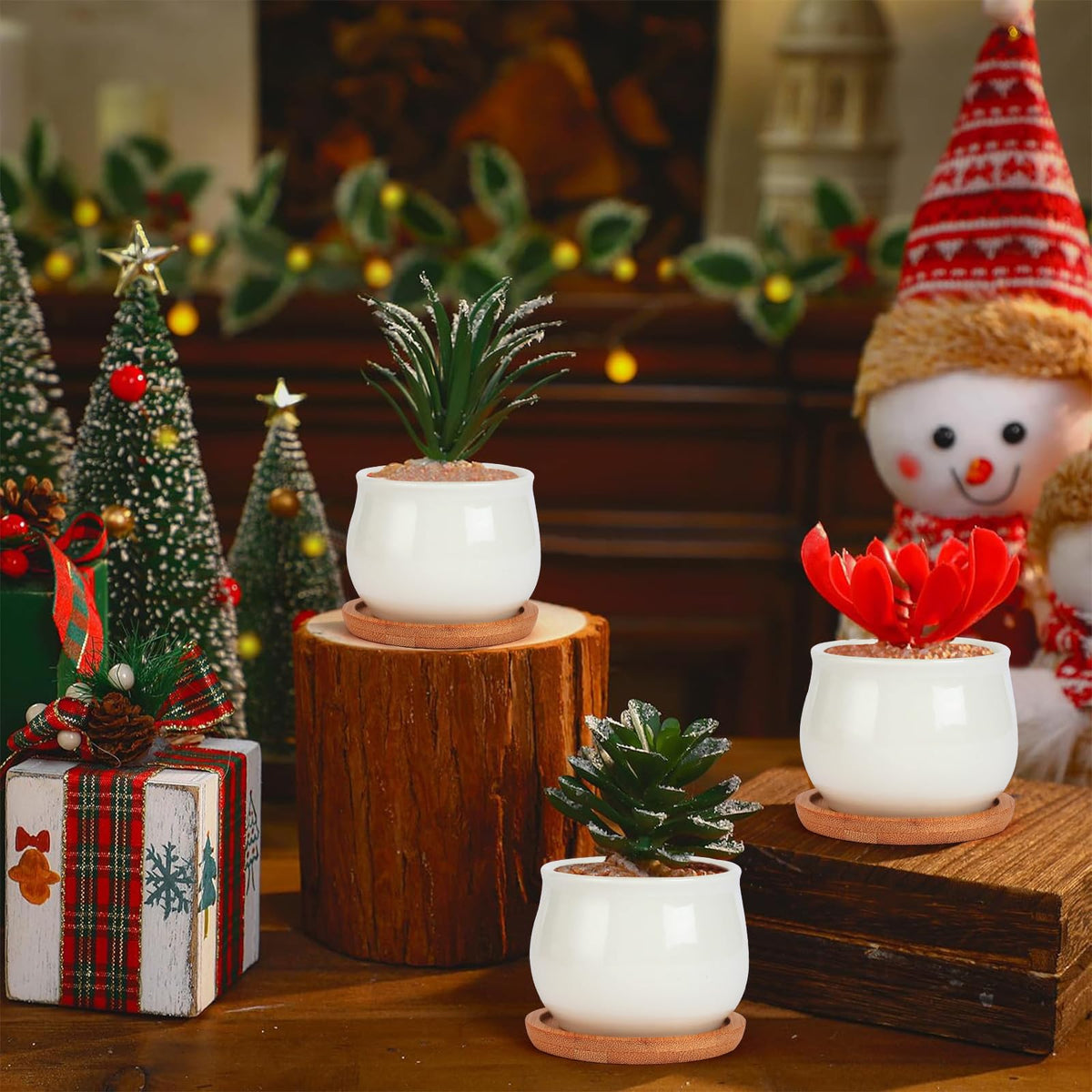SHECIPIN wedding-gift-ideas succulent pot ideal for occasions and stylish table decor.