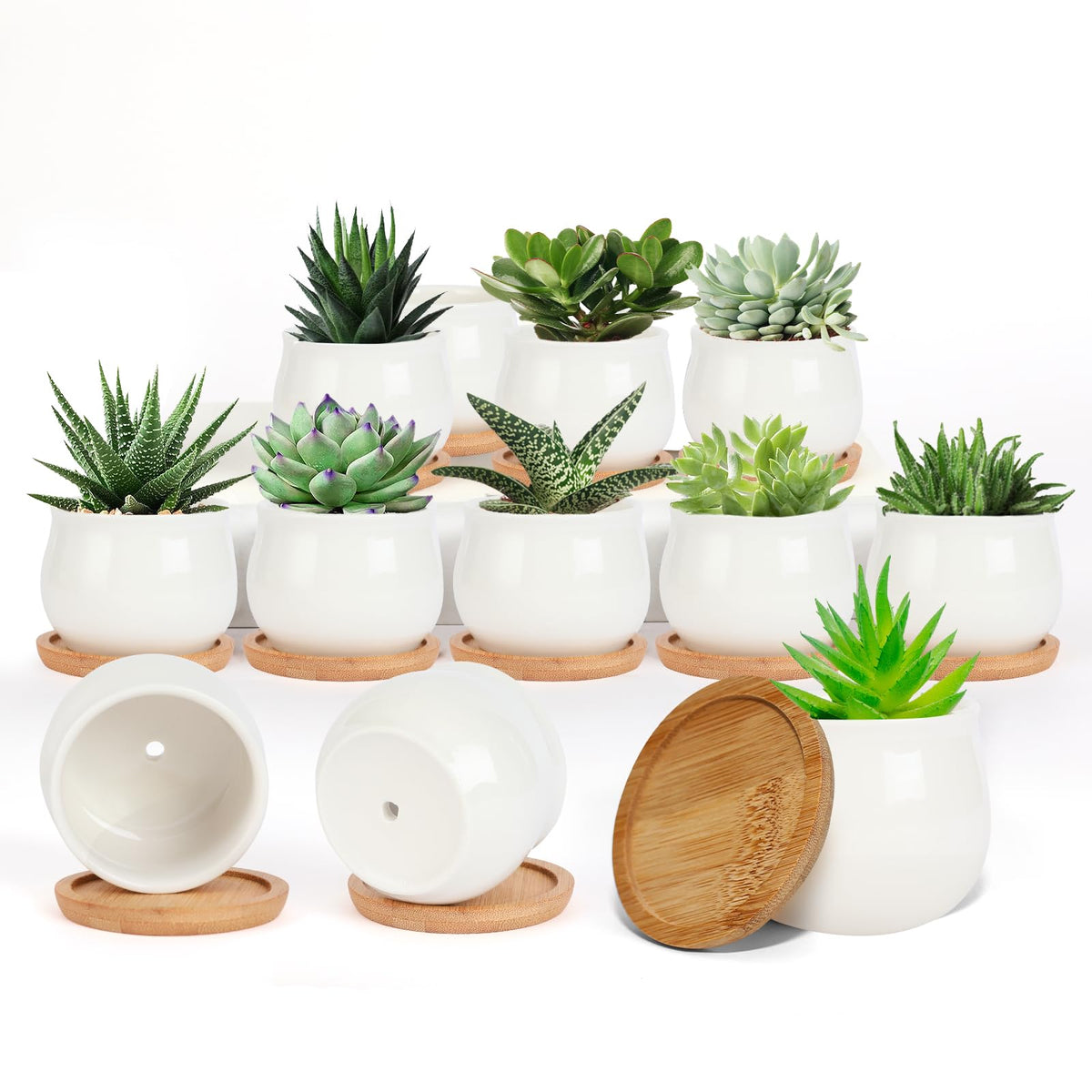 SHECIPIN white-2-5-inch succulent pot for desktop decor and plant display.