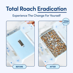 Shieldeck Roach Traps disposal knob enables touch-free cleanup
