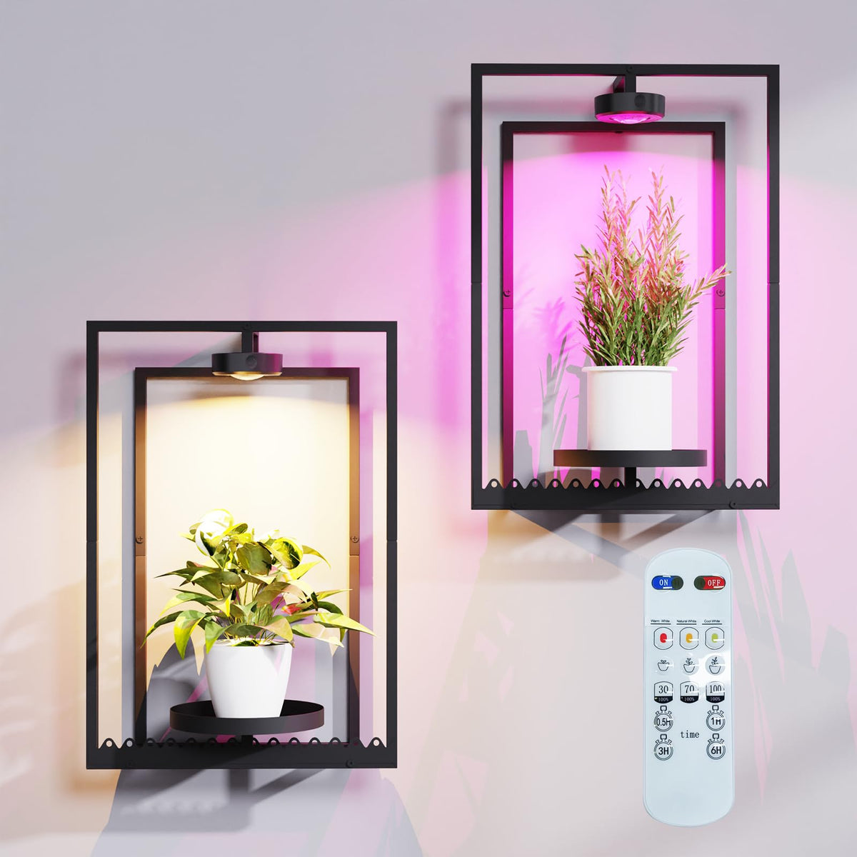 Shineled wall plant holder frame with built-in light for year-round indoor greens.