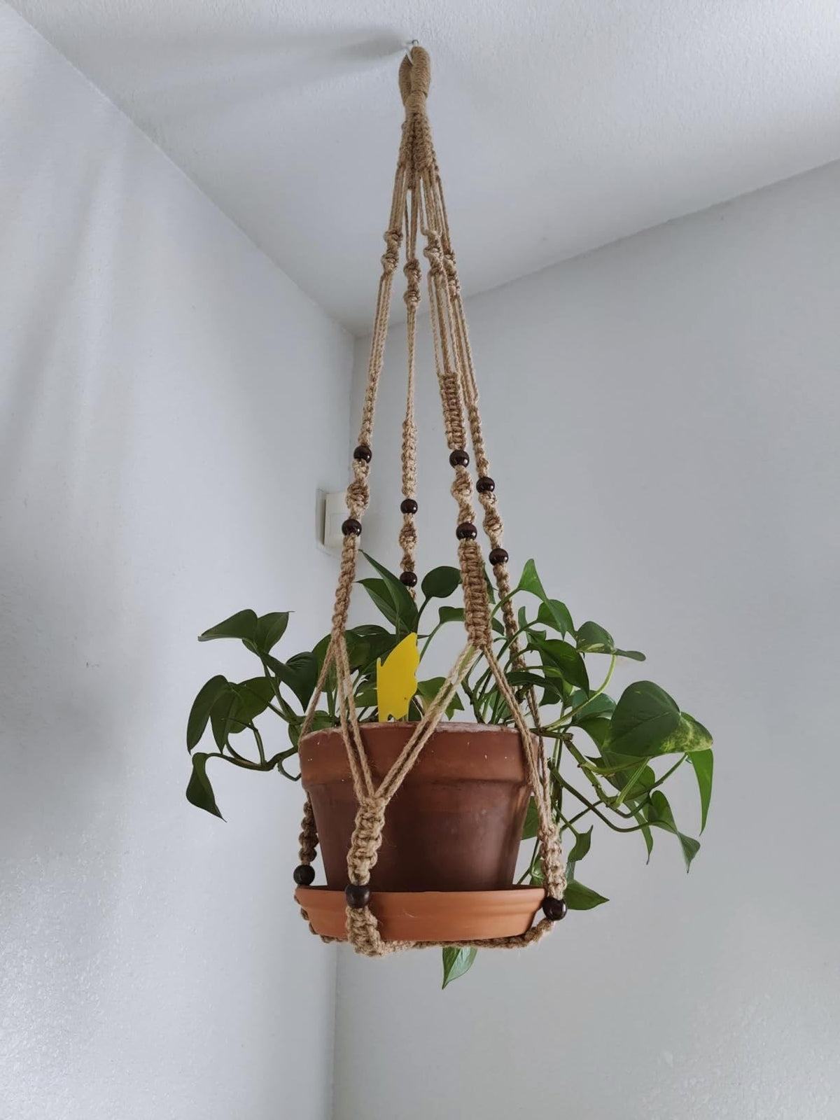 Boho home decor that complements lush greenery and modern interiors.