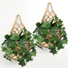 Shineloha hanging planter 2pk 6inch pot on wall for stylish indoor greenery