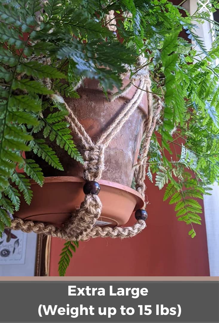 Large hanging planter with swag hook included for secure wall mounting.