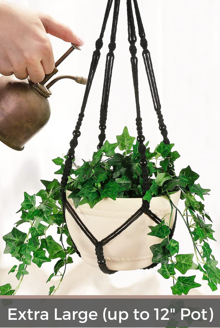 Shineloha swag hook included for secure wall mounting.
