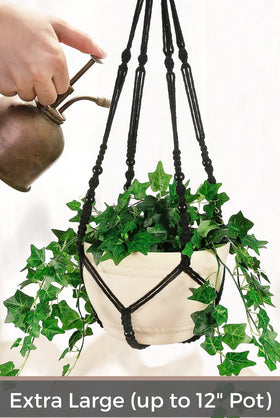 Shineloha swag hook included for secure wall mounting.