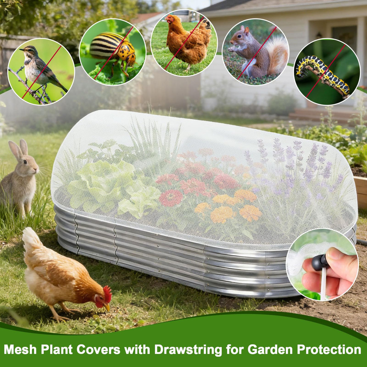 ShineSirius netting protects fruits and vegetables from birds and small animals