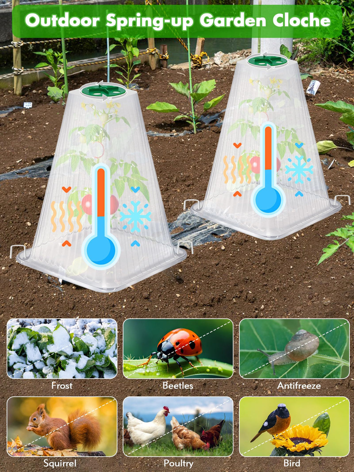 ShineSirius easy-install ground stakes keep cloches secure