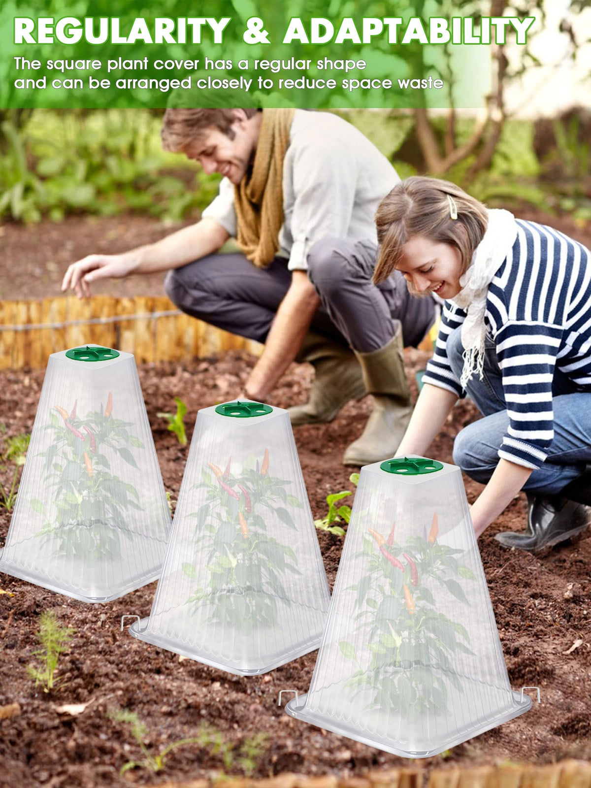 ShineSirius protective garden cloches guard against snails birds and sun