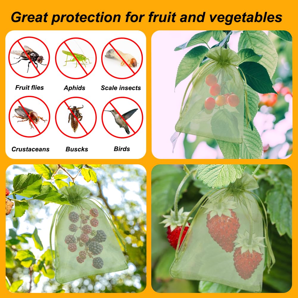 Shintop 100-pack green fruit bags for small harvests