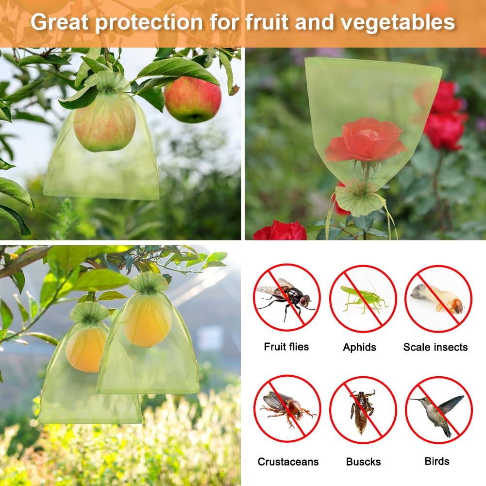 Shintop 6x9 green bags show ripening through transparent fabric during growth.