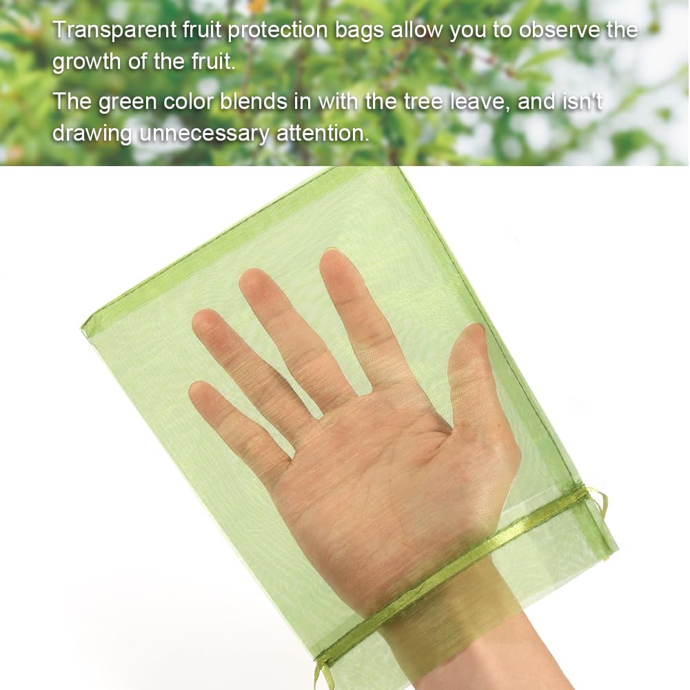 Shintop fruit bag on a tree illustrates pest barrier in action.