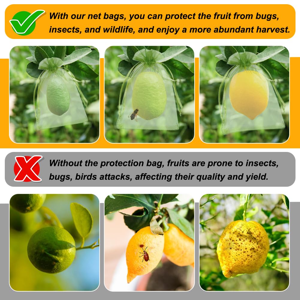 Shintop green blueberry protective bag with fine mesh on the plant