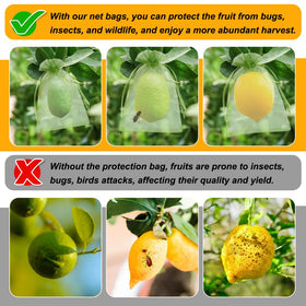 Shintop green blueberry protective bag with fine mesh on the plant