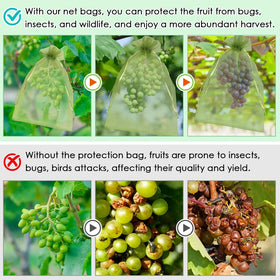Shintop drawstring fruit cover with double closure for quick pest protection.