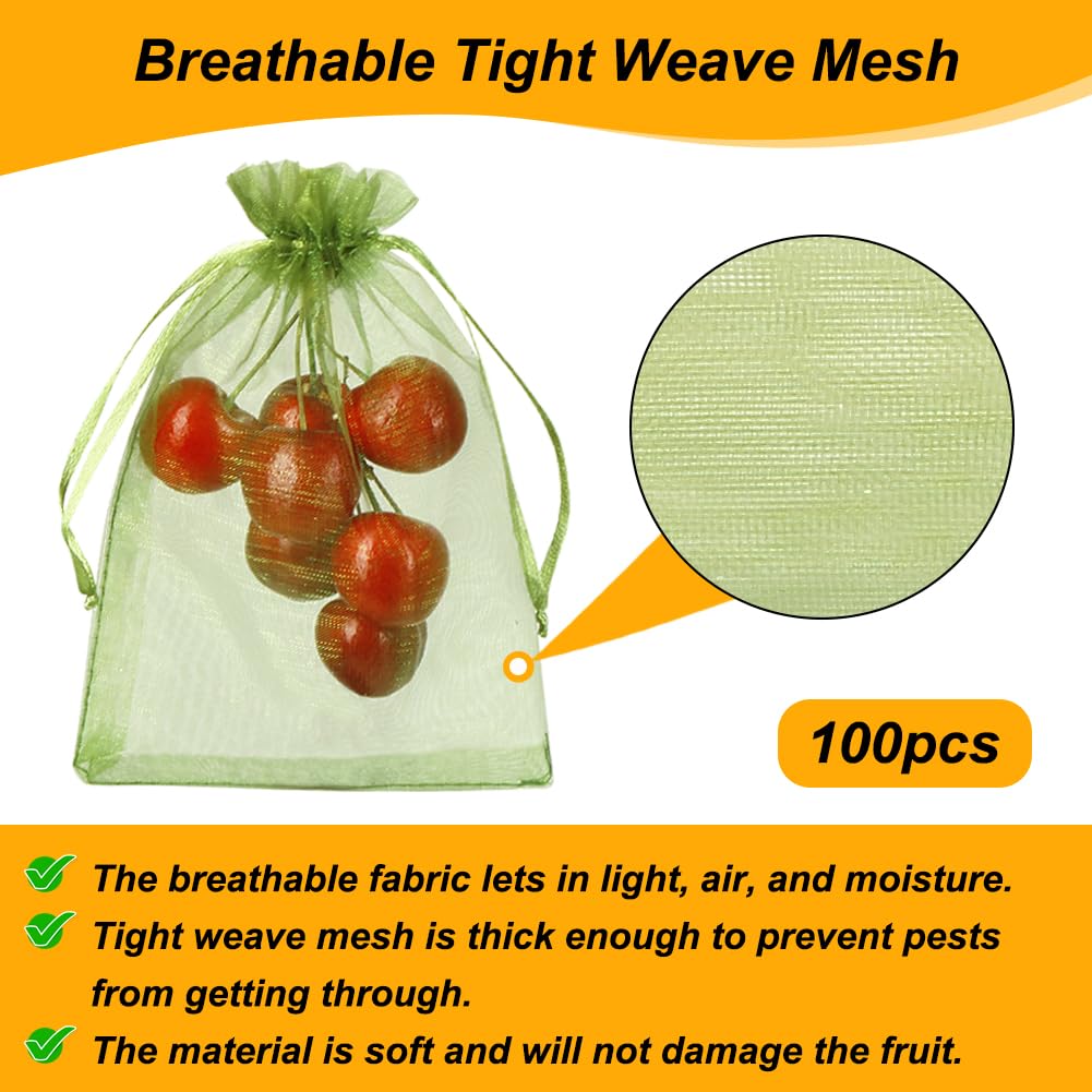 Shintop fig and kiwi fruit netting bag in green for pest defense