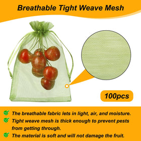 Shintop fig and kiwi fruit netting bag in green for pest defense