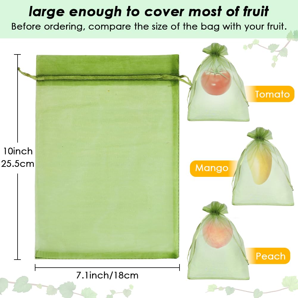 Shintop green mesh bags on tomato plants allow airflow and ripeness monitoring.