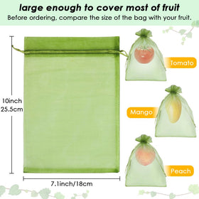 Shintop green mesh bags on tomato plants allow airflow and ripeness monitoring.