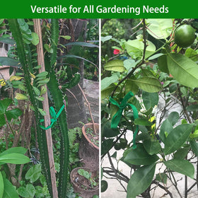 Shintop soft garden tie won't damage stems during tying.