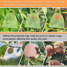 Shintop tight mesh bag deters pests on peaches and tomatoes.