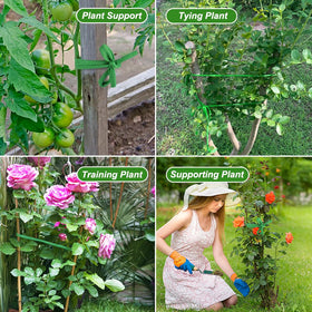 Shintop tomato ties in action showing stretchy support for vines
