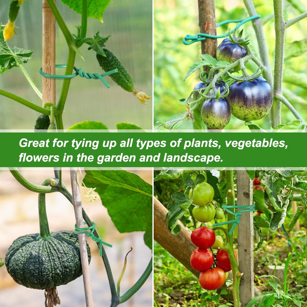 Shintop Tomatoes Roses Support shows ties for steady heavy fruit growth.