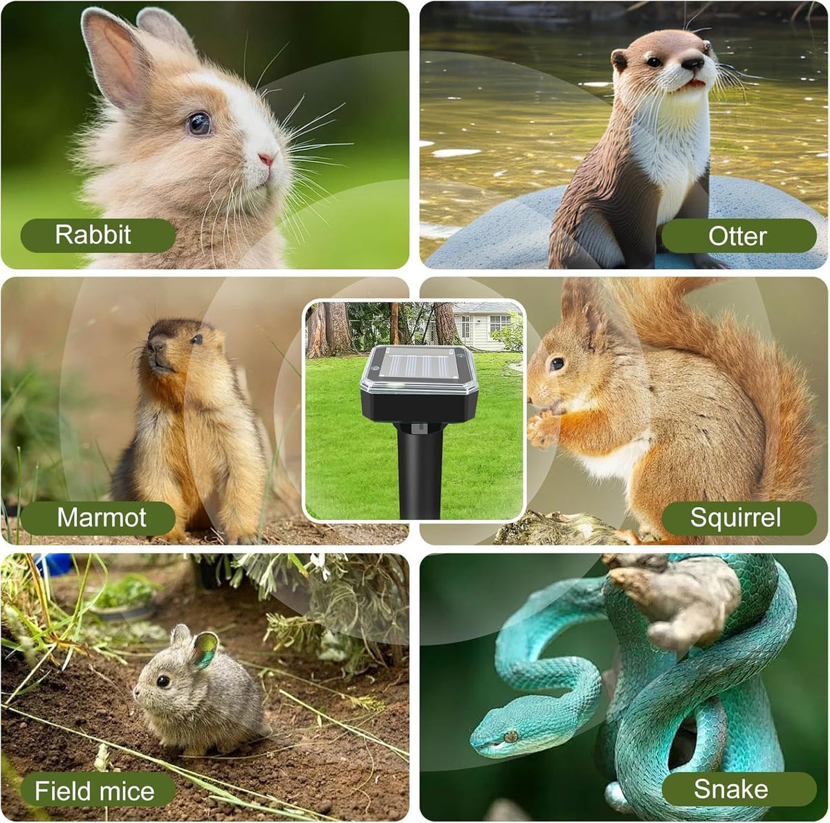 ShinyArt ultrasonic buzzing mode feature for pest deterrence