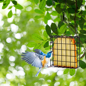 Shitailu cage-style feeder accommodates suet, fruit, and nesting materials.