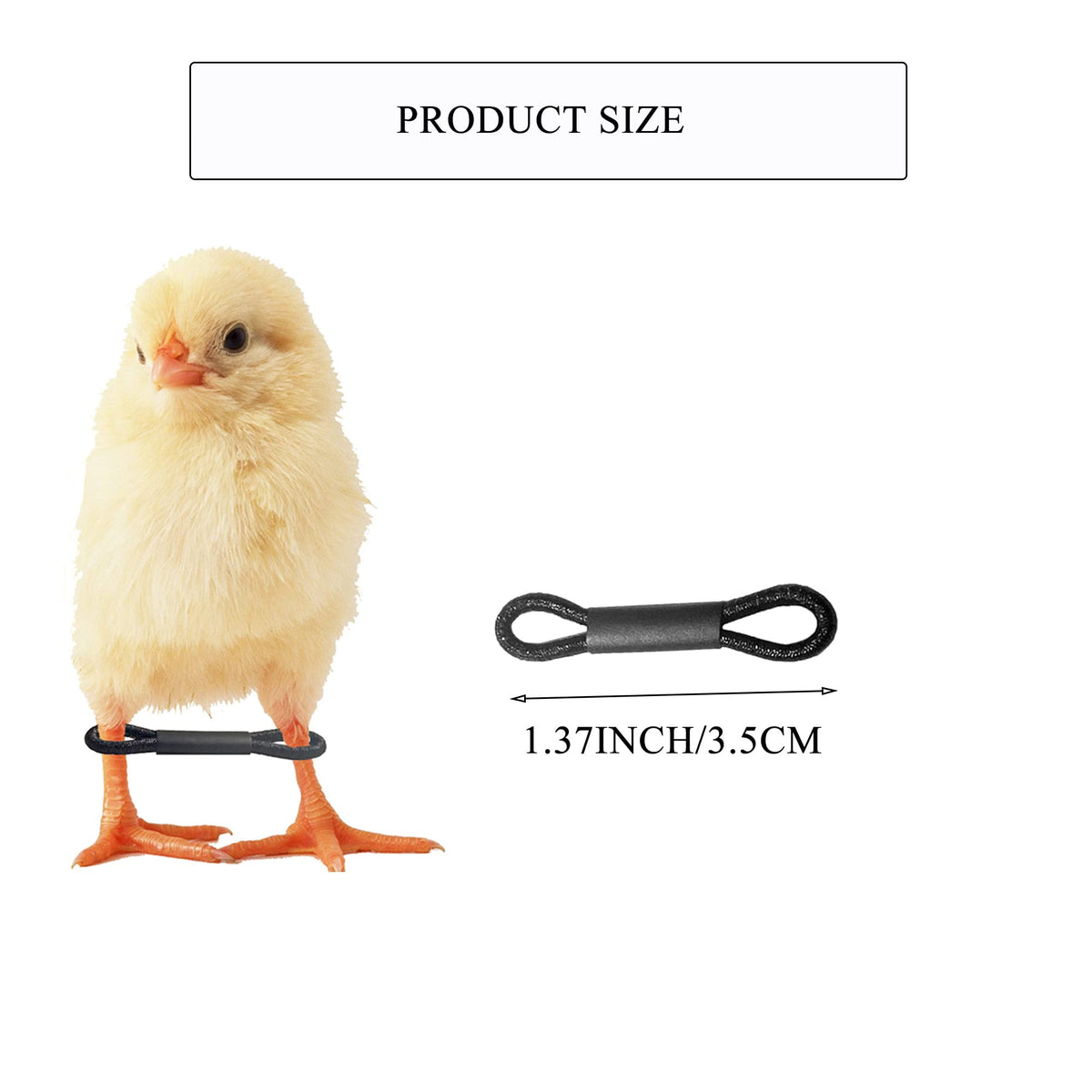 Shitailu elastic bands for chick leg hobbles enable safe, easy adjustments.