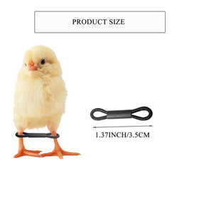 Shitailu elastic bands for chick leg hobbles enable safe, easy adjustments.