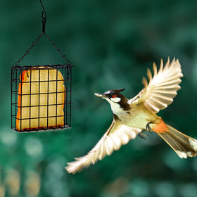 Shitailu easy-to-hang feeder with chain offers flexible placement.