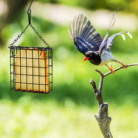 Shitailu compact suet feeder measures 4.72 by 5.31 by 1.57 inches.