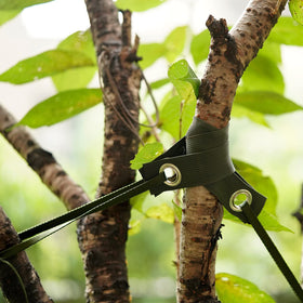 Shitailu garden use-case for straight growth and secure anchoring