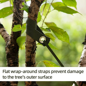 Shitailu strap on tree close-up shows durable nylon construction